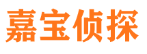 东昌府市调查公司